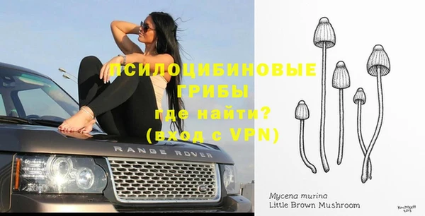 МДПВ Белоозёрский