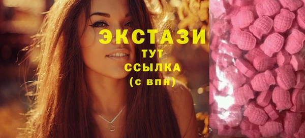 тгк Богданович