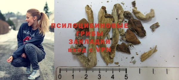 ПСИЛОЦИБИНОВЫЕ ГРИБЫ Богородск